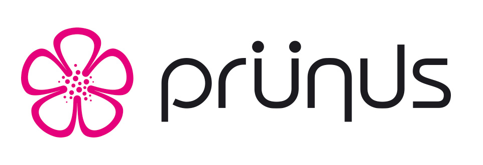 Branding: Logotipo e isotipo de Prünus.
