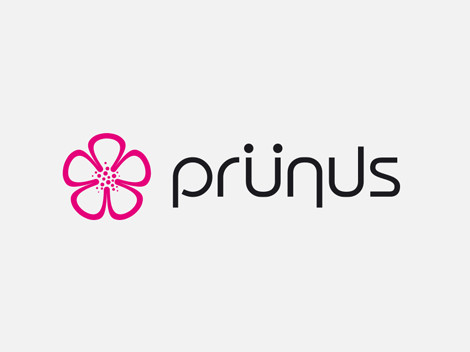Diseño de logo e isotipo para Prünus.